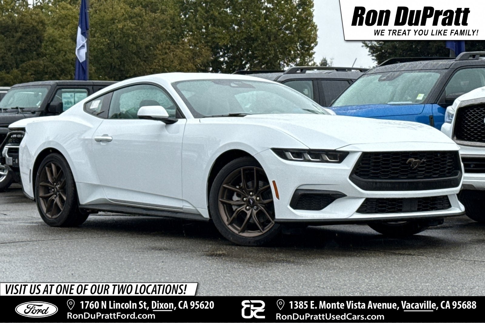 2024 Ford Mustang EcoBoost Premium