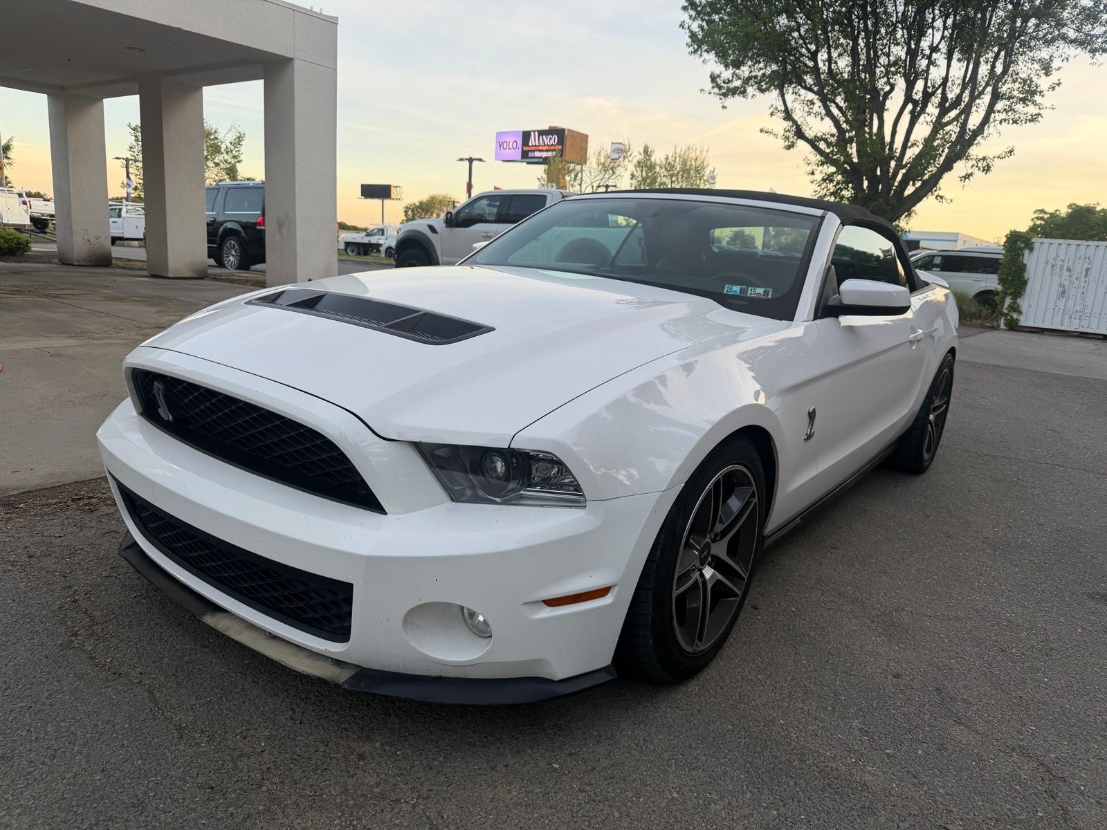 2010 Ford Mustang Shelby GT500