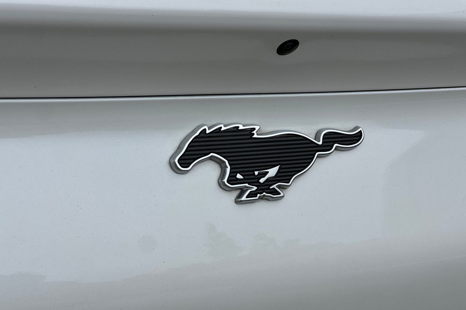 2023 Ford Mustang Mach-E California Route 1